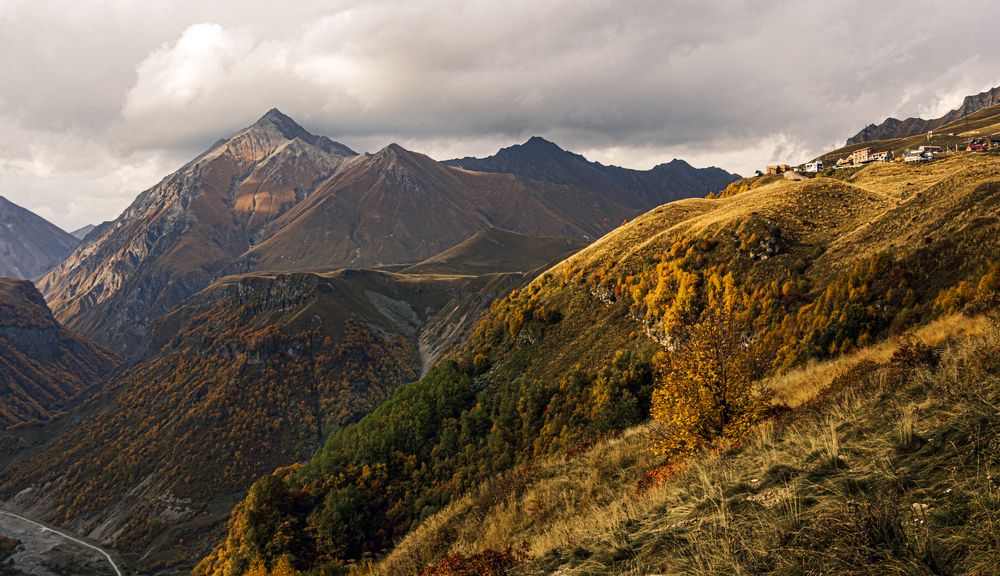 Photograph by Alex Kalpus