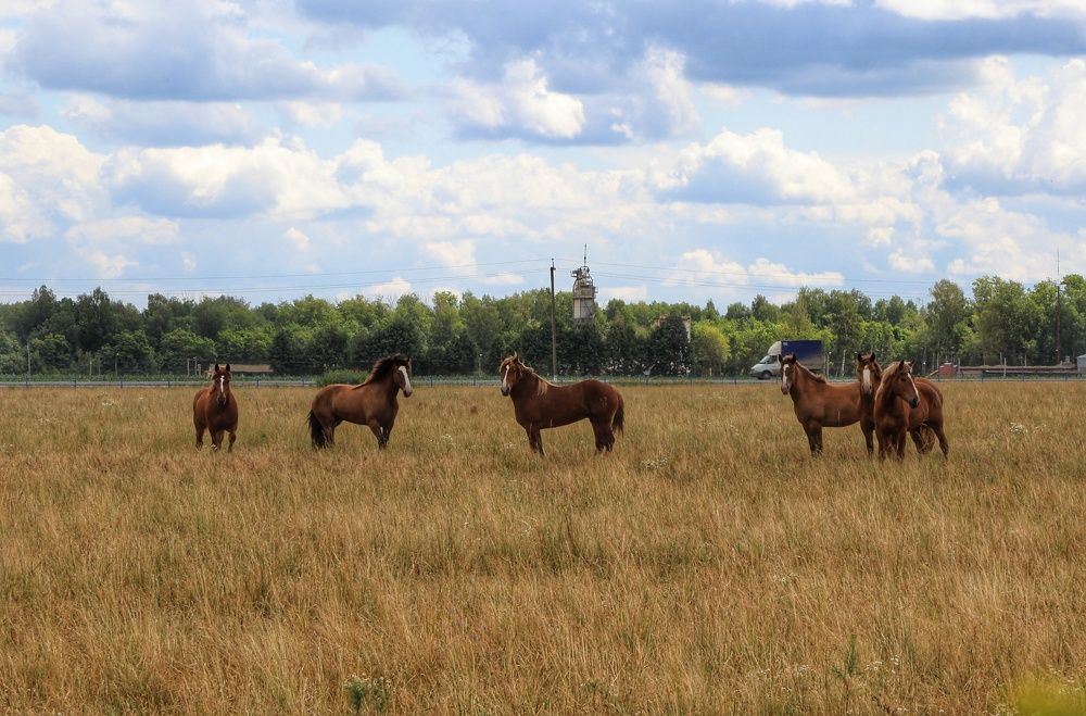 Photograph by Мария Андреева