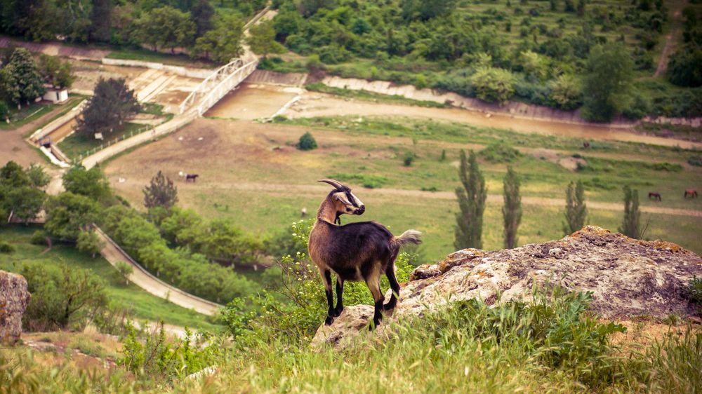 Photograph by Tatiana Teit Ash