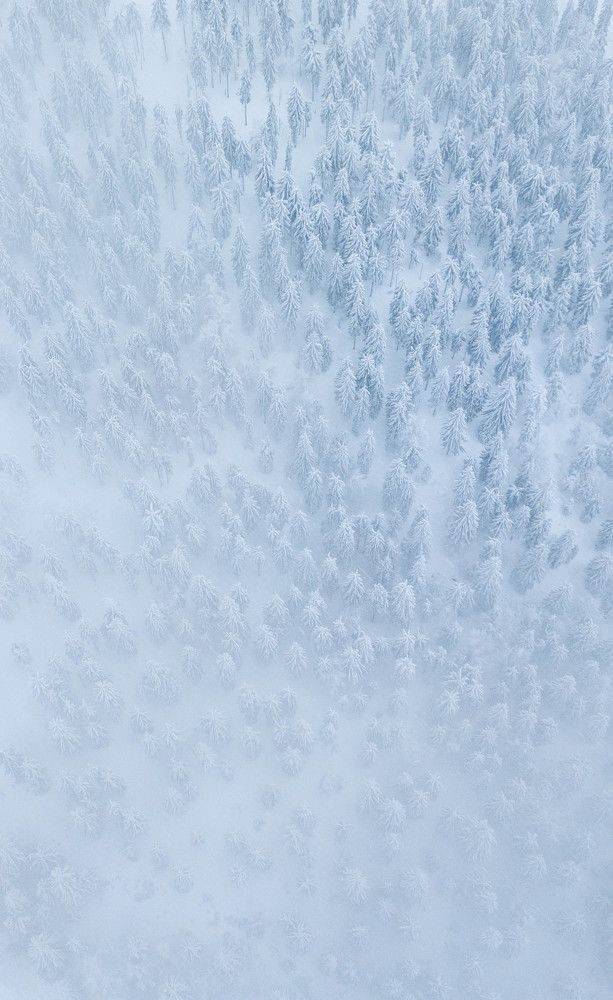 Photograph by George Alexandru Ghiuro