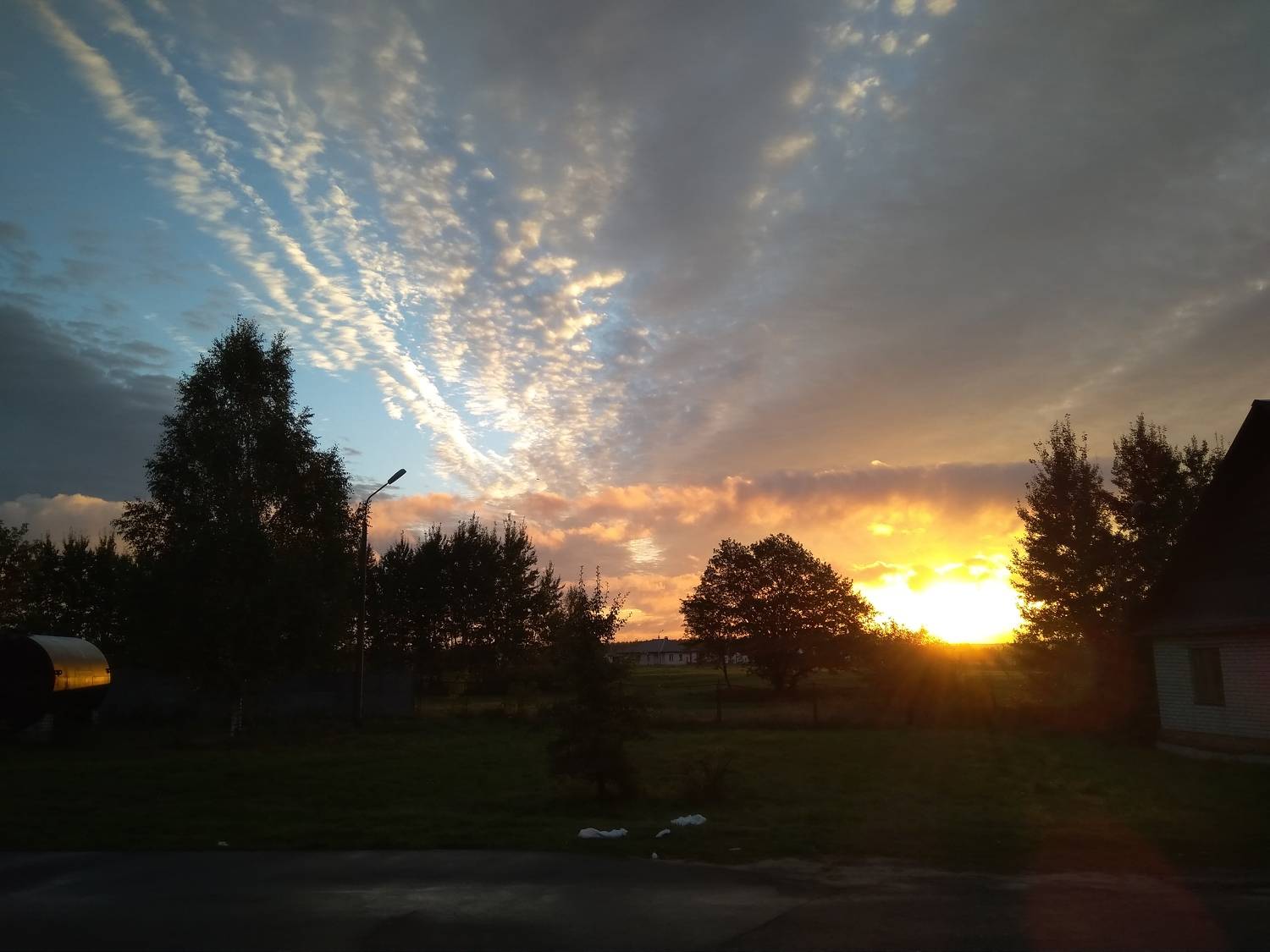 Photo #9605910