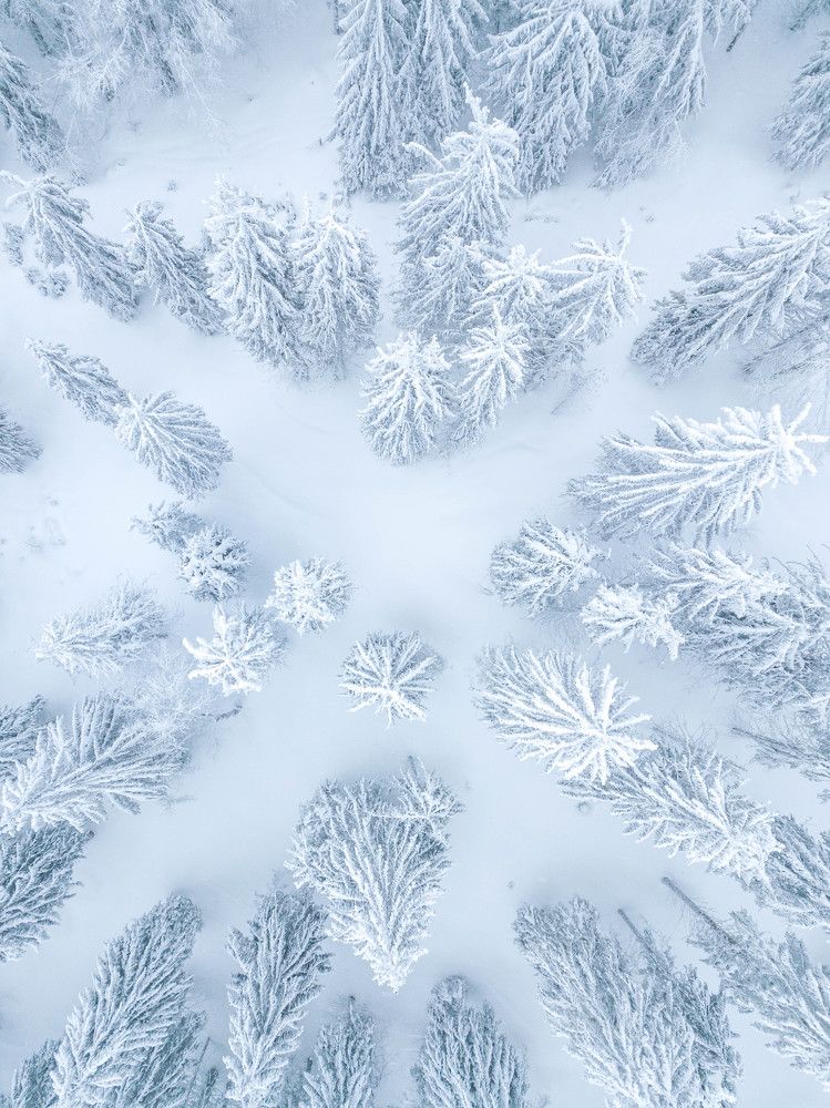 Photograph by George Alexandru Ghiuro