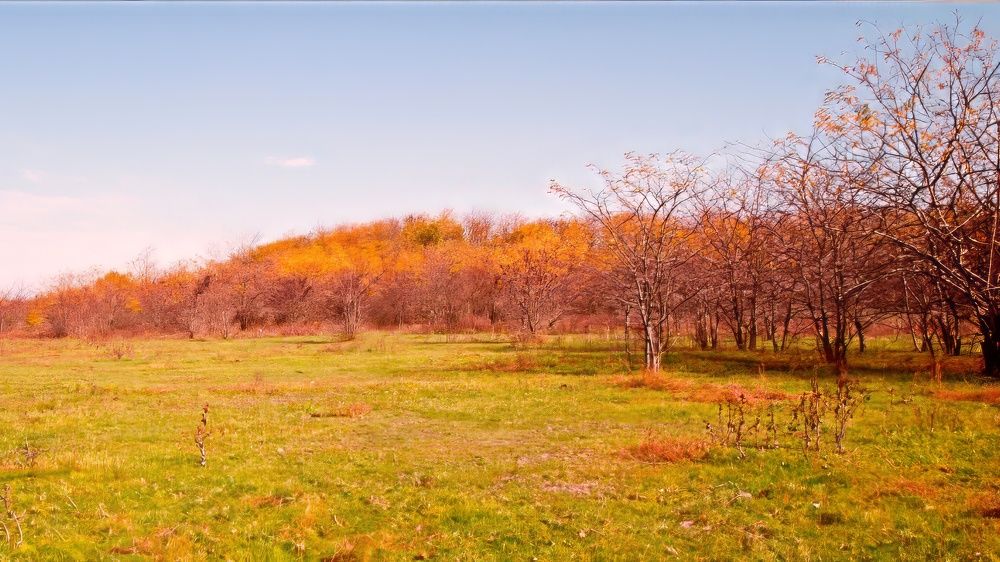 Фотография автора Carlos Gianoli