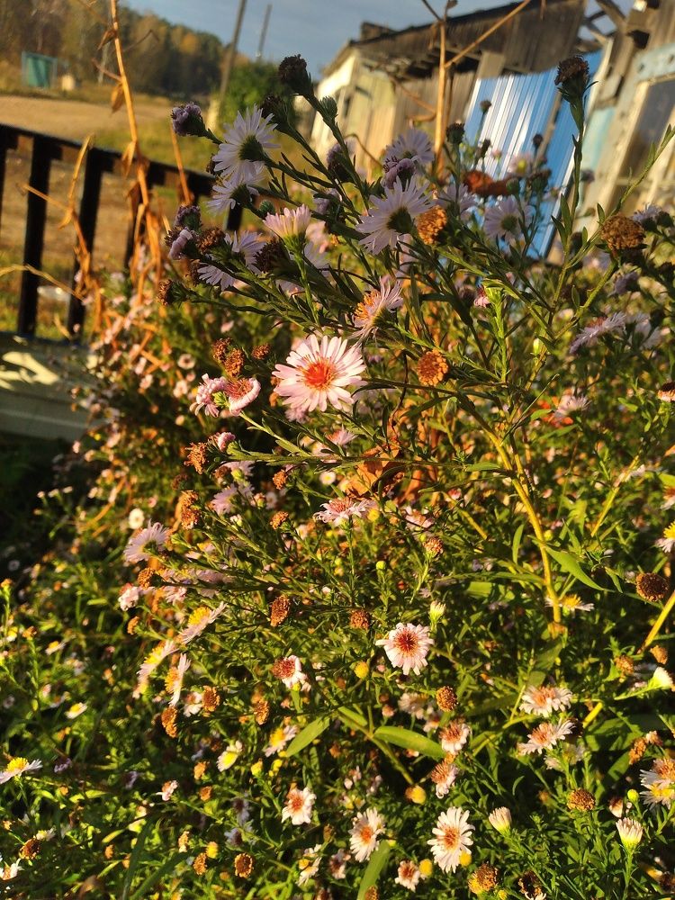 Photograph by Татьяна Николаевна