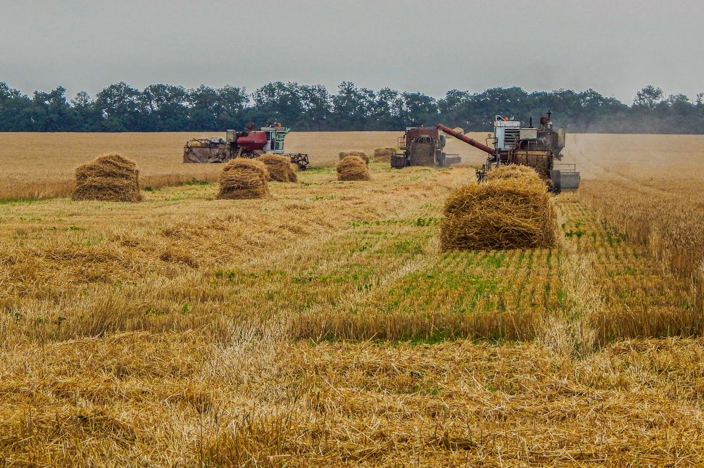 Photograph by Савчук Сергей