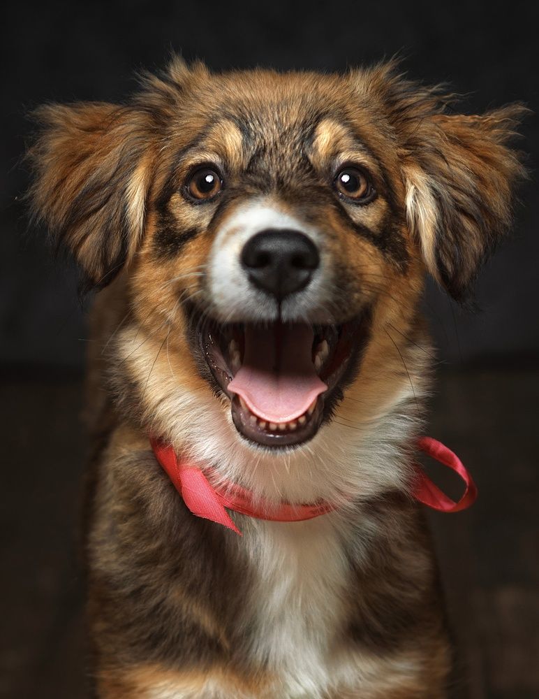 Photograph by Антон Тимошевский