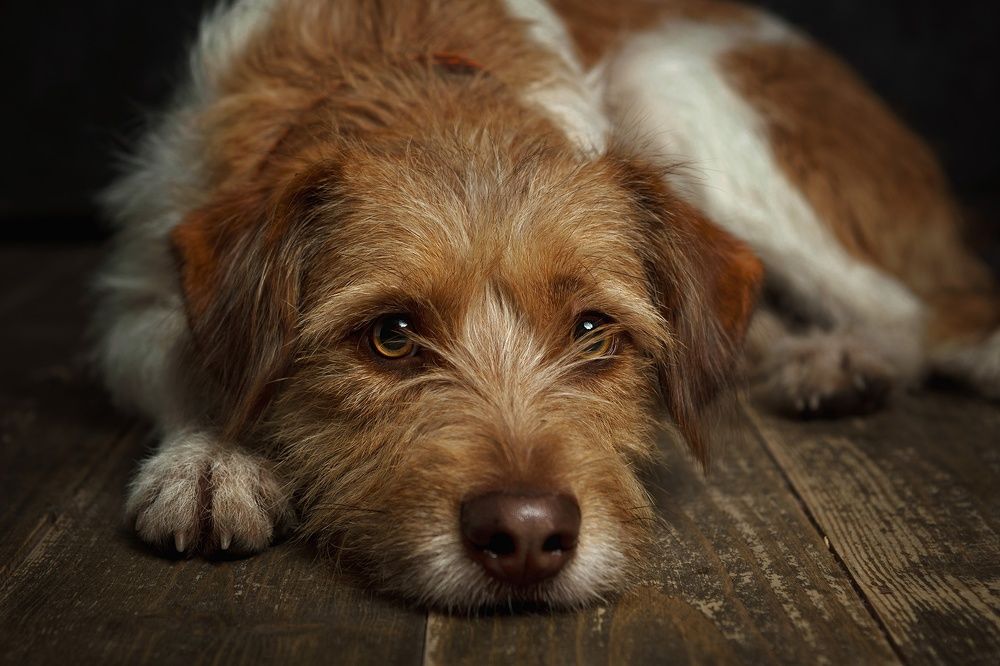 Photograph by Антон Тимошевский