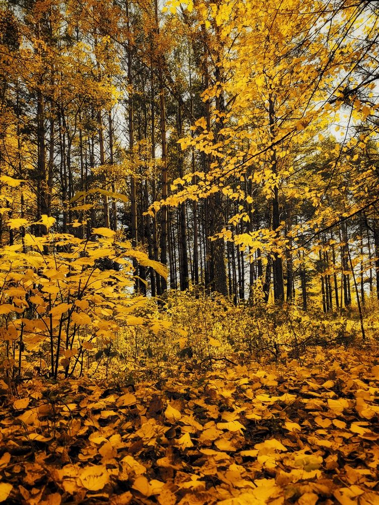 Photograph by Татьяна Гулакова