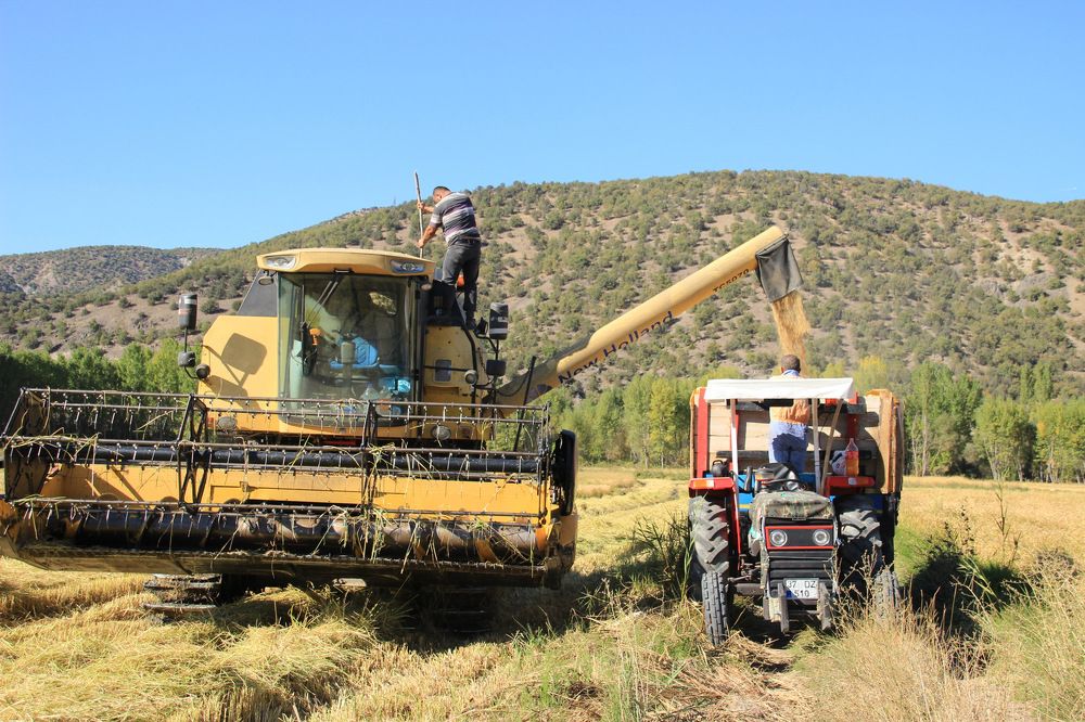 Photograph by Cengiz Yalcin
