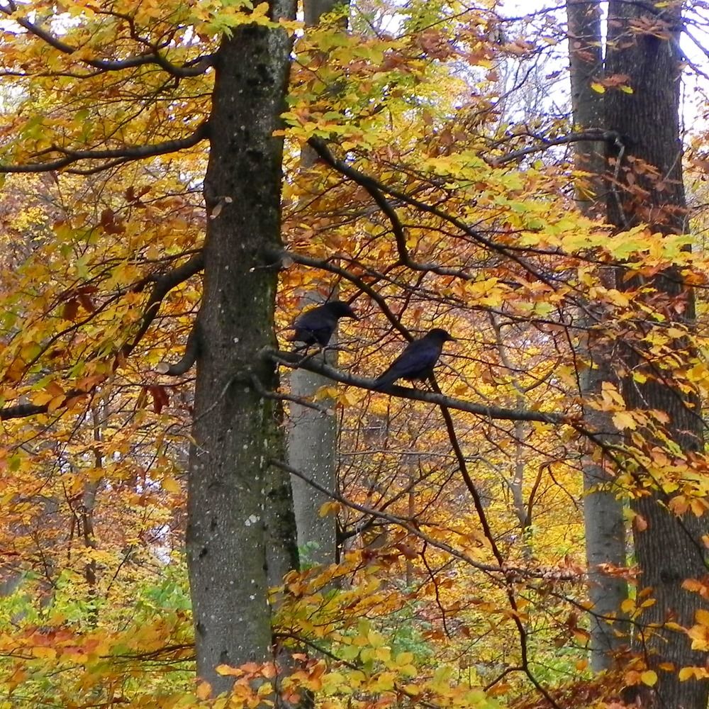 Photograph by RODRIGO SARACENI