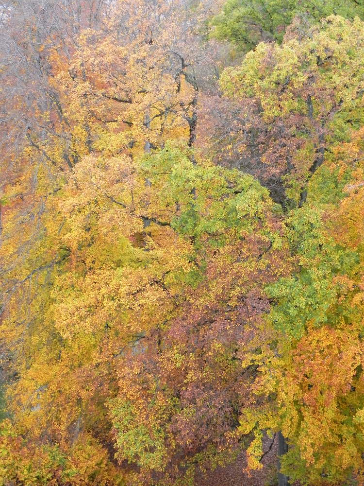 Photograph by RODRIGO SARACENI