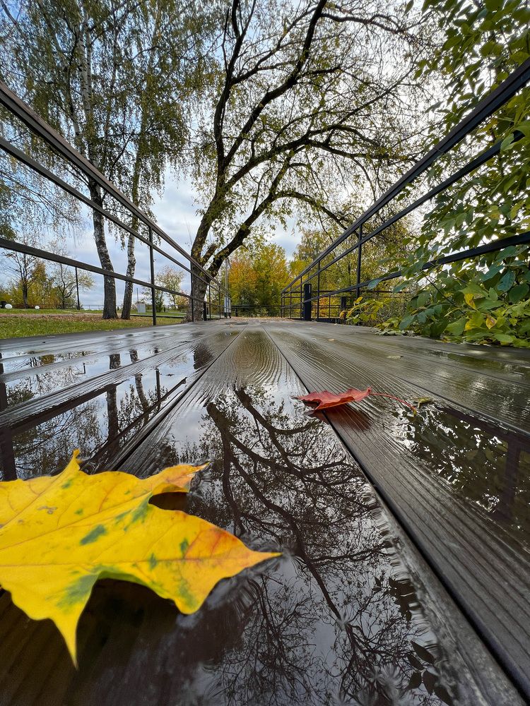 Photograph by Дмитрий Костяков