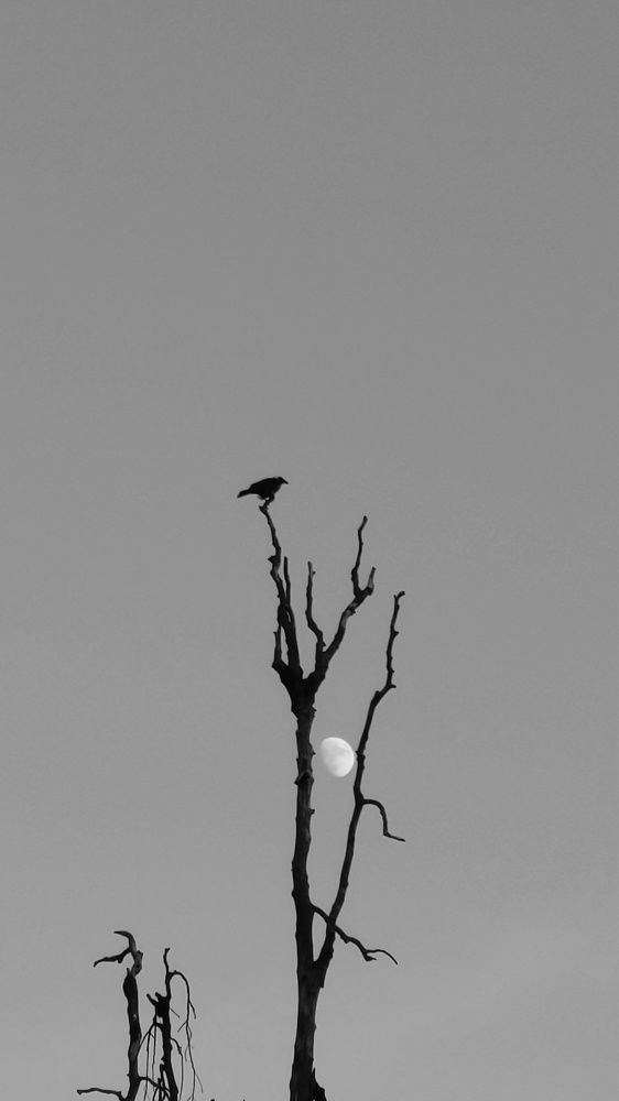 Photograph by Darshil Dholu