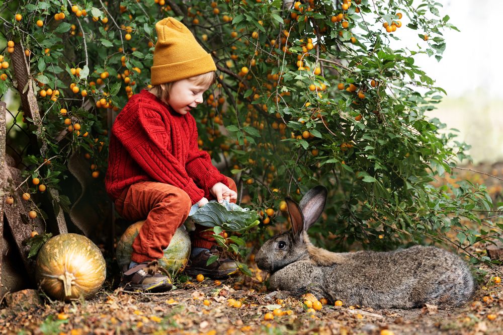 Photograph by Anna Chizh