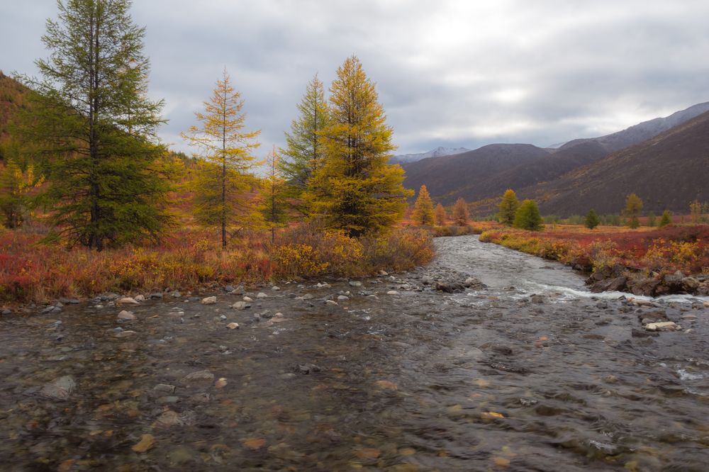 Осенний театр