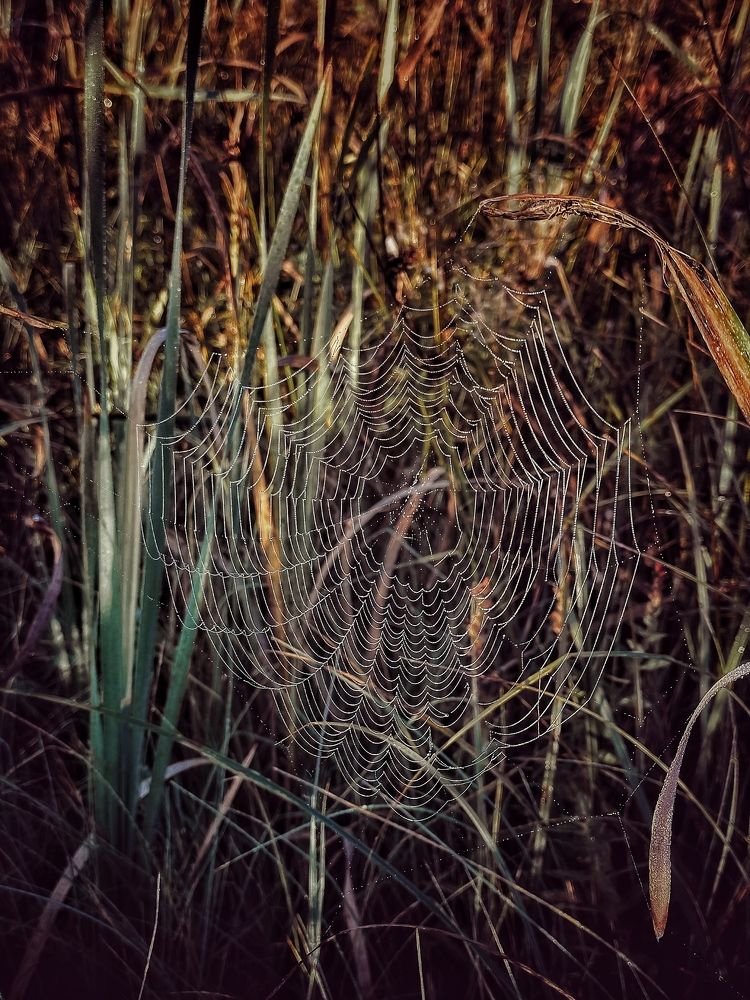 Photograph by Ольга Позняк