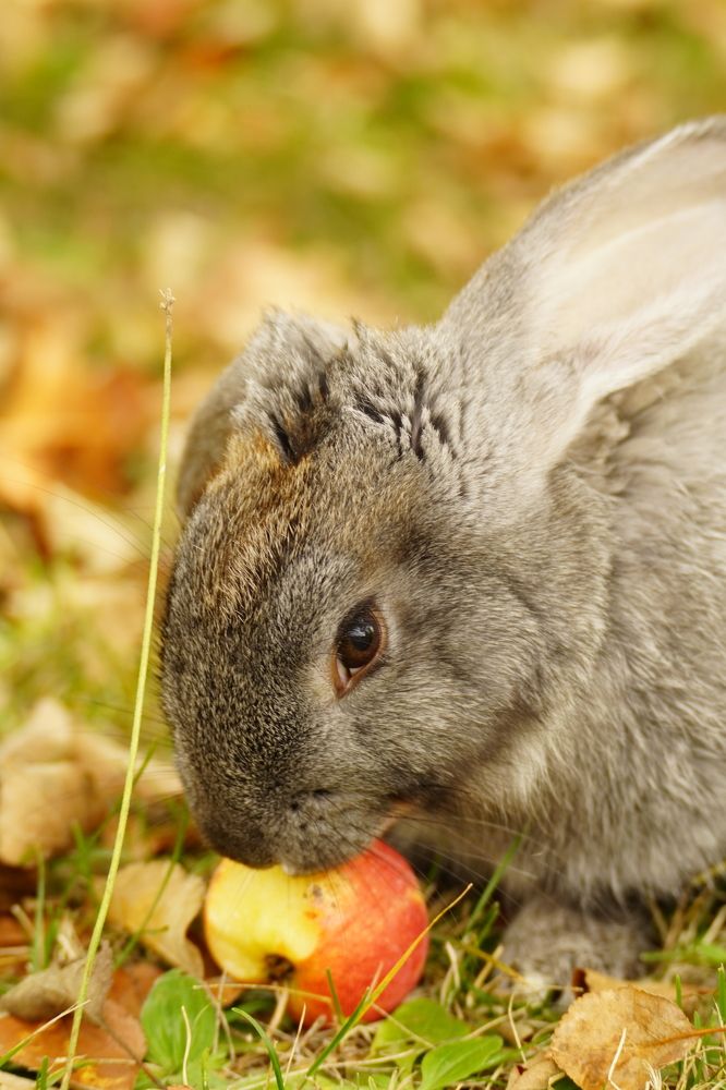 Photograph by Дарья Ринас