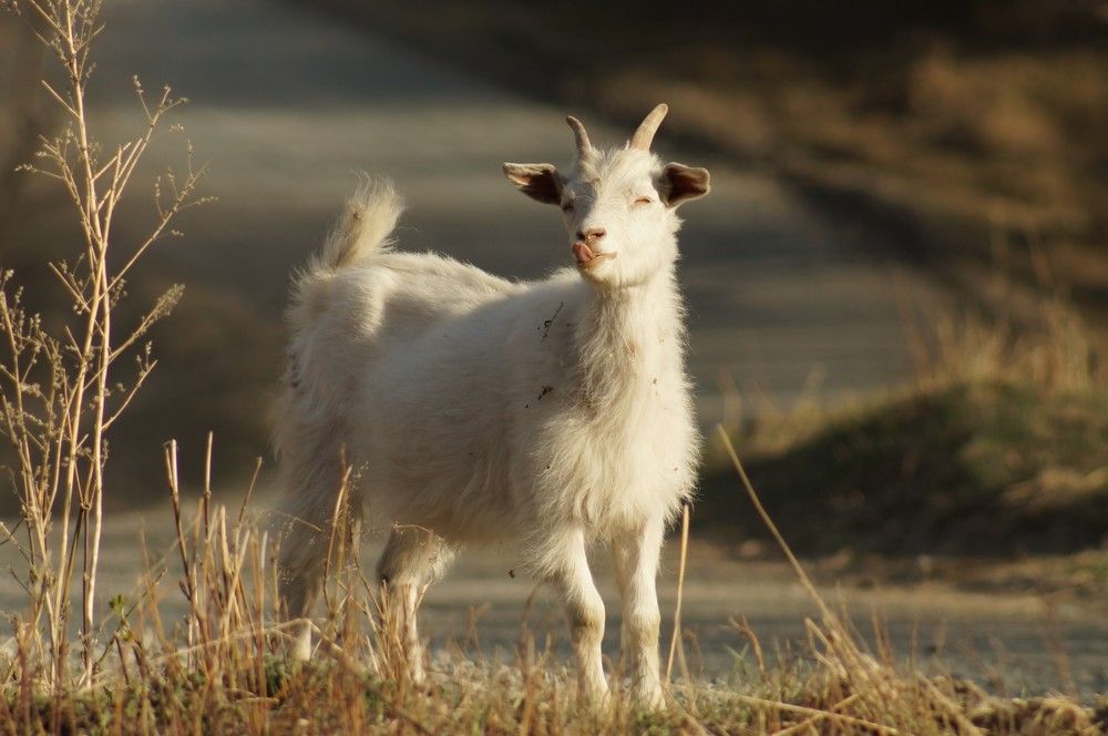 Photograph by Дарья Ринас