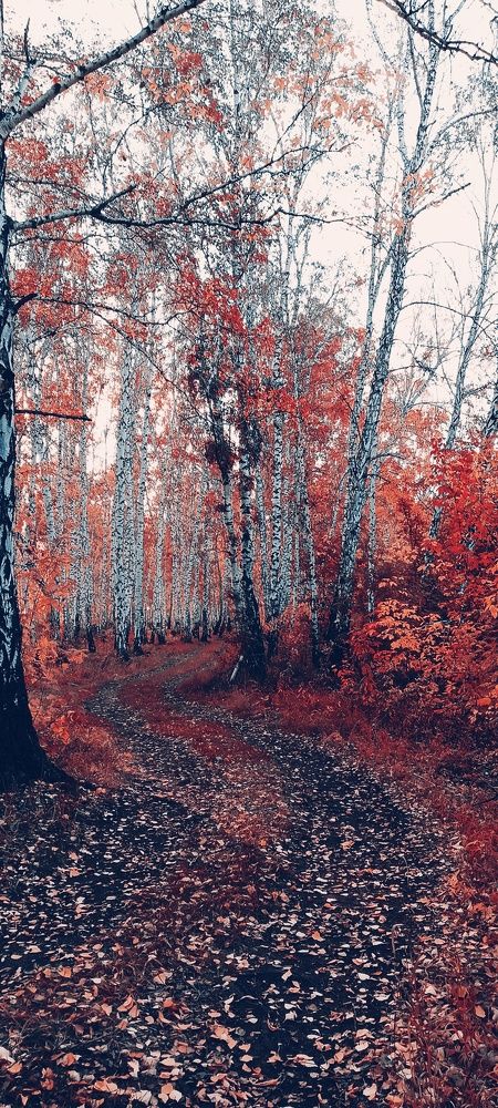 Photo #9606287