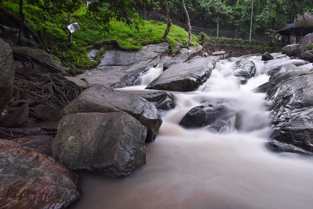 Photograph by DEBRAJ PURKAYASTHA