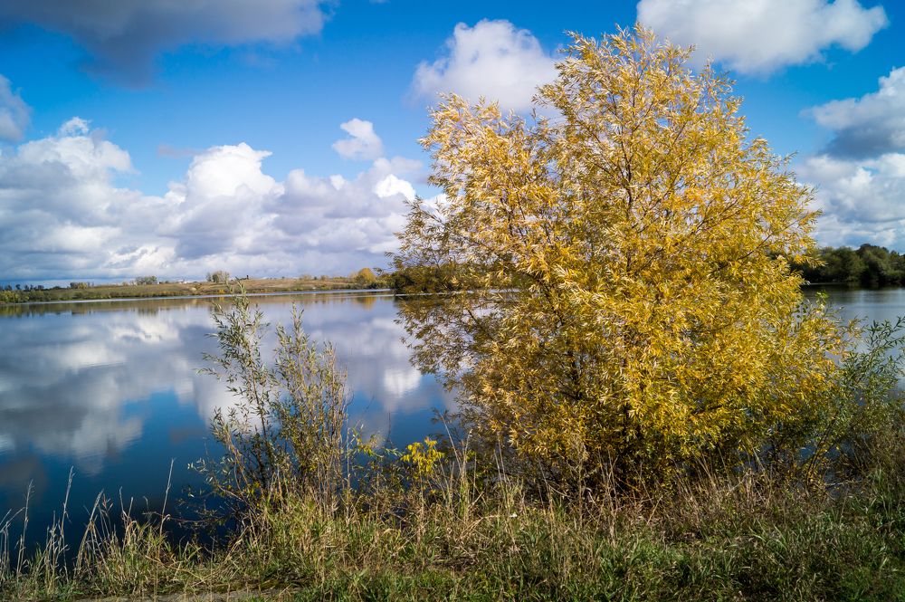 Photograph by Николай Мокшин