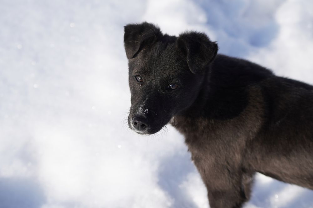 Photograph by Дарья Ринас