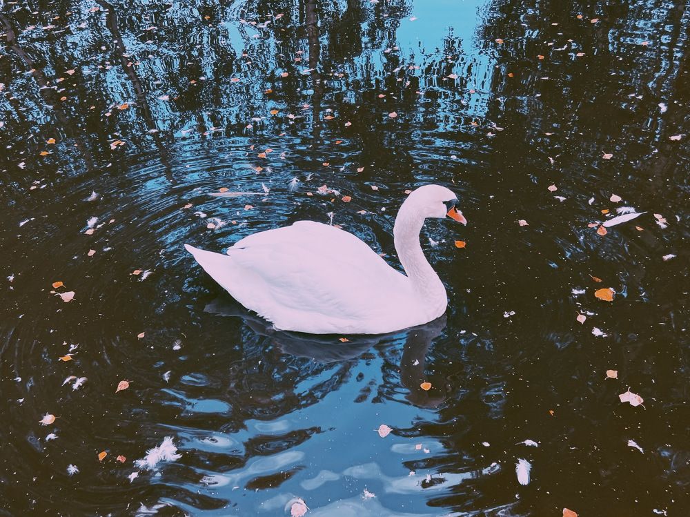 Photograph by Natalia Levenih