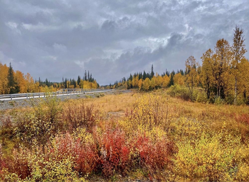 Photograph by Janina Segeda