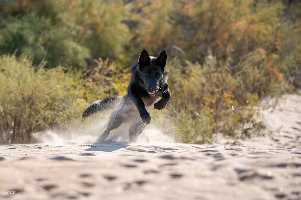 Photograph by Наталья Орел