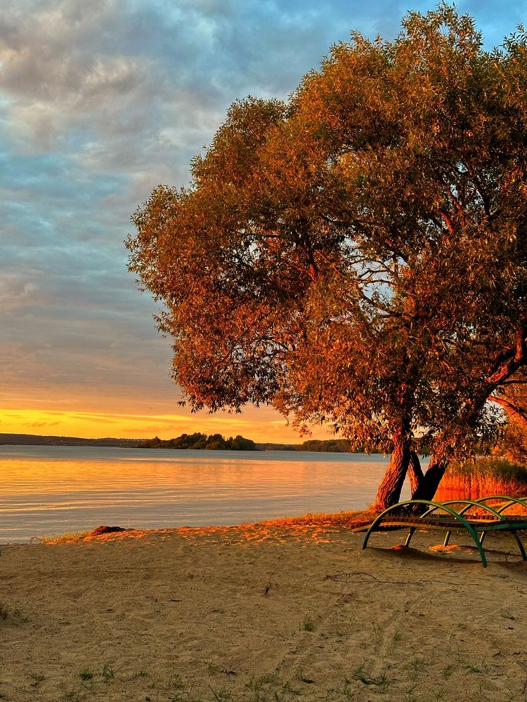 Photograph by Ольга Позняк