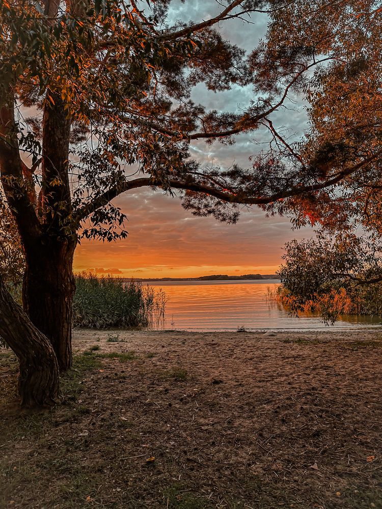 Photograph by Ольга Позняк