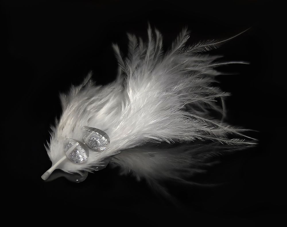 Photograph by Анастасия