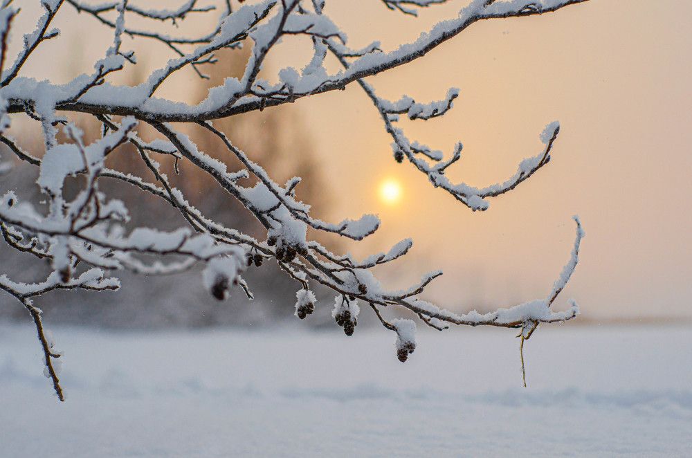 Photograph by Ivan Kozhin