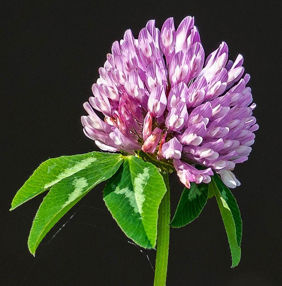 Photograph by Valery Kleymenov