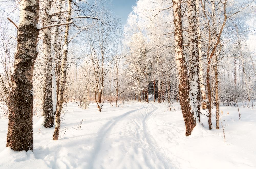 Photograph by Елена Потемина