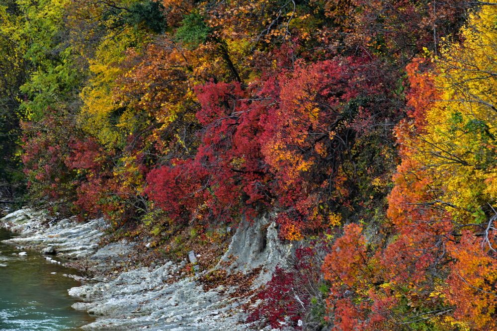 Осенний берег