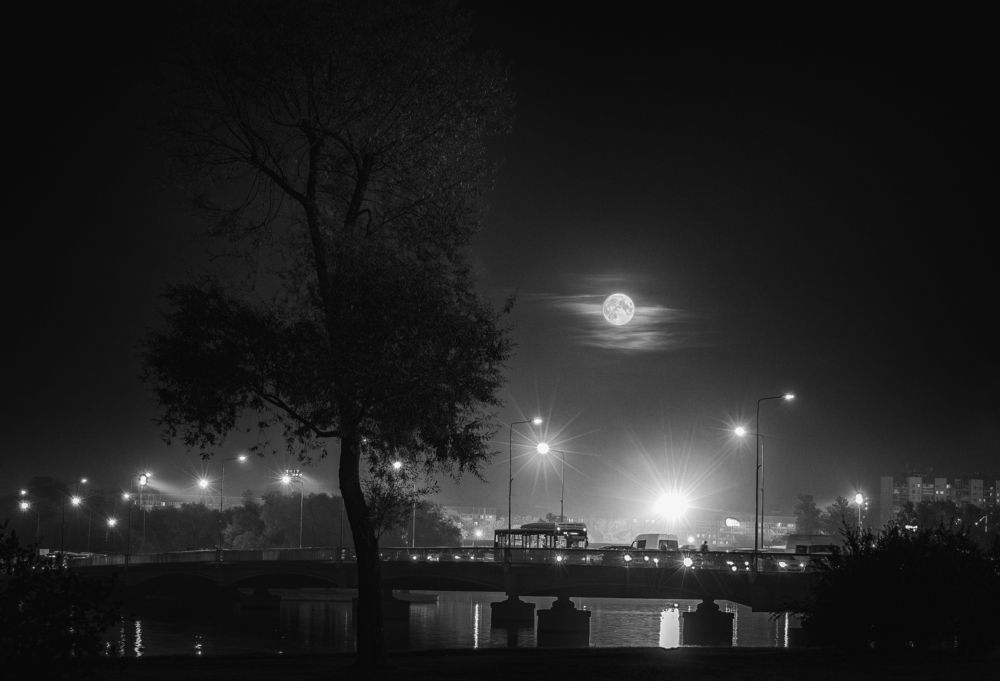 City Moon