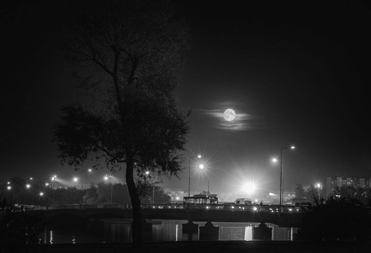 City Moon