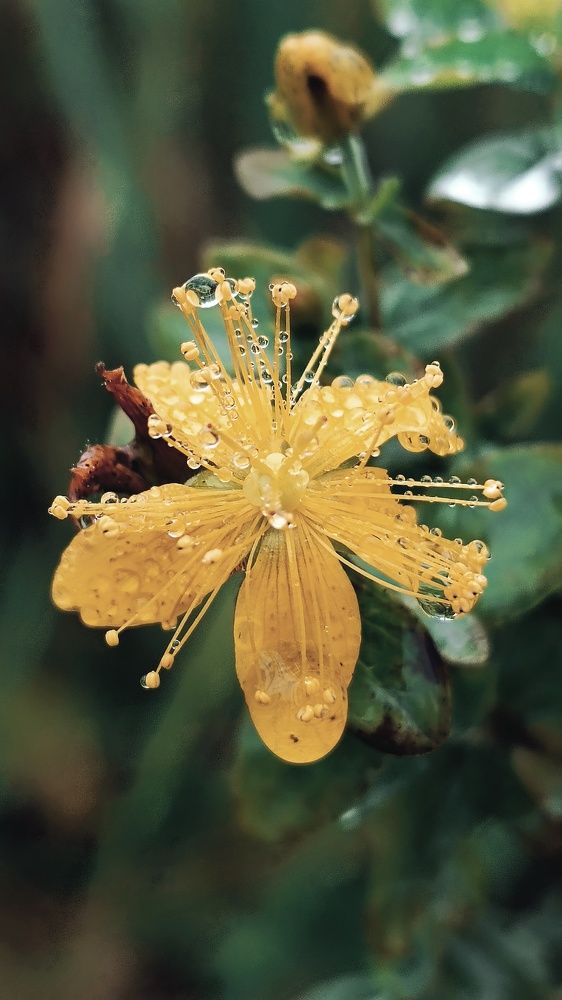 Photograph by Nаtaliia Zolotova