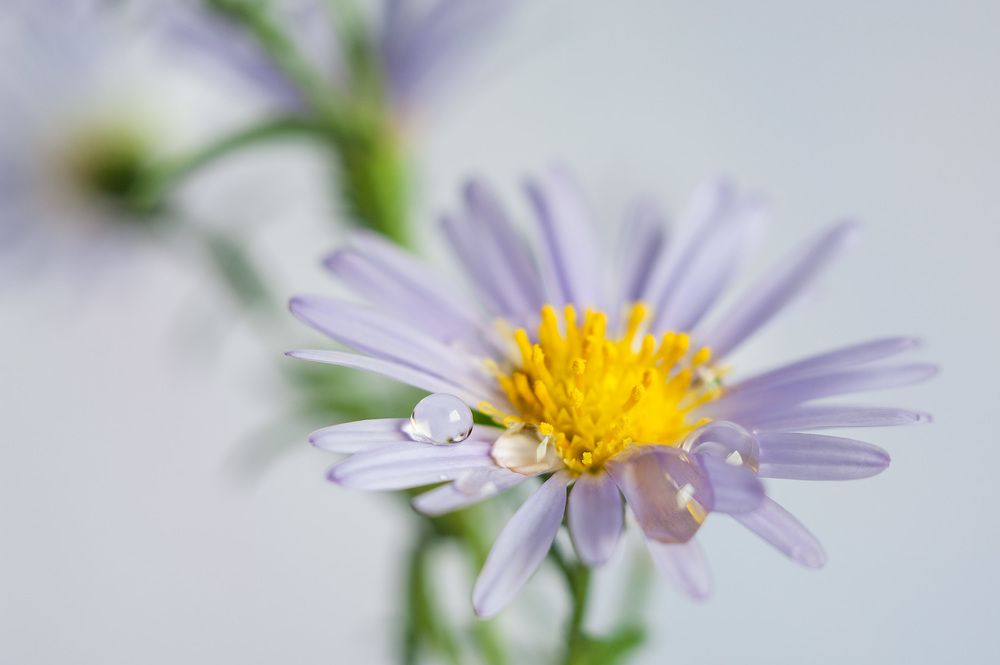 Photograph by Владимир Тузлай