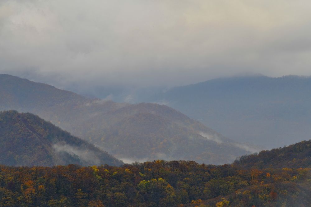 Photograph by Олег Корешонков