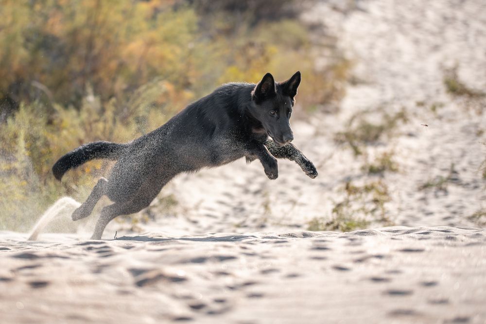 Photograph by Наталья Орел