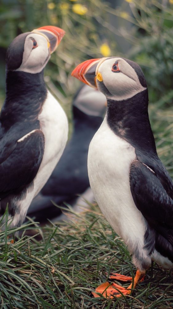 Photograph by Ektor Karyotakis