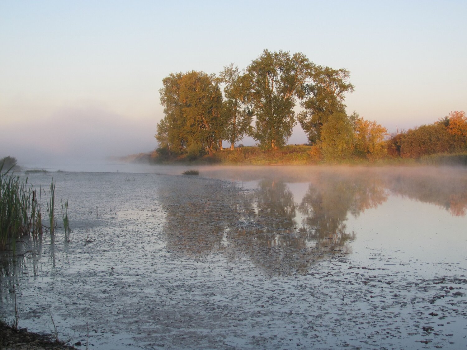 Photo #9606555