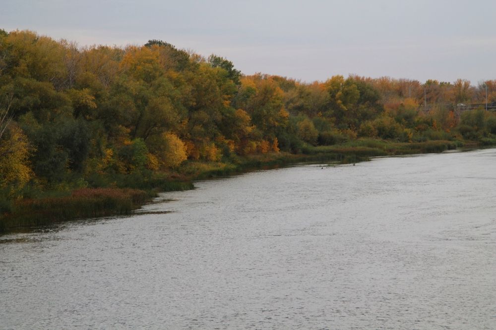 Photograph by Елена Чурынина