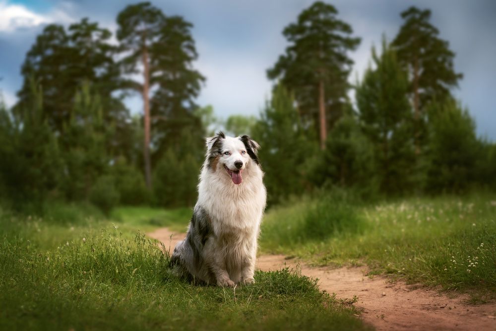 Photograph by Соколова Елена