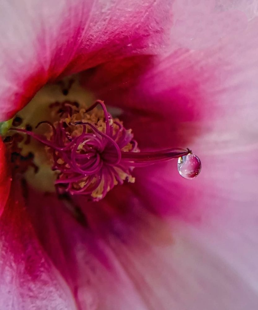 Photograph by Prism Sahu