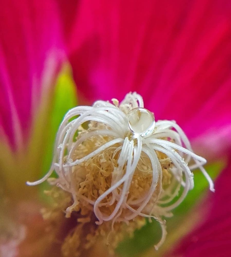 Photograph by Prism Sahu