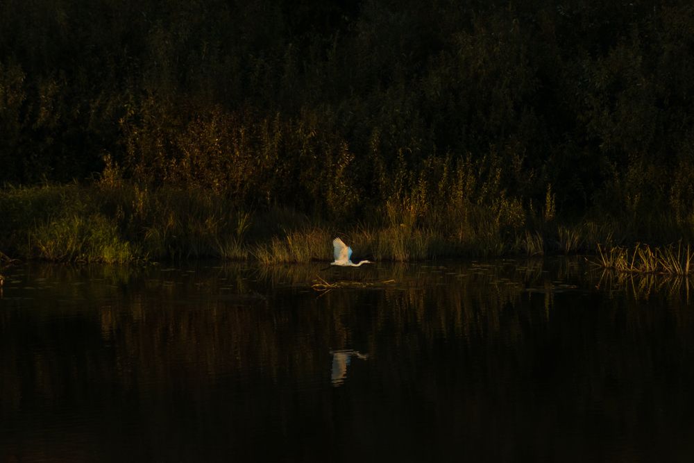 Фотография автора Алёна Подгорная