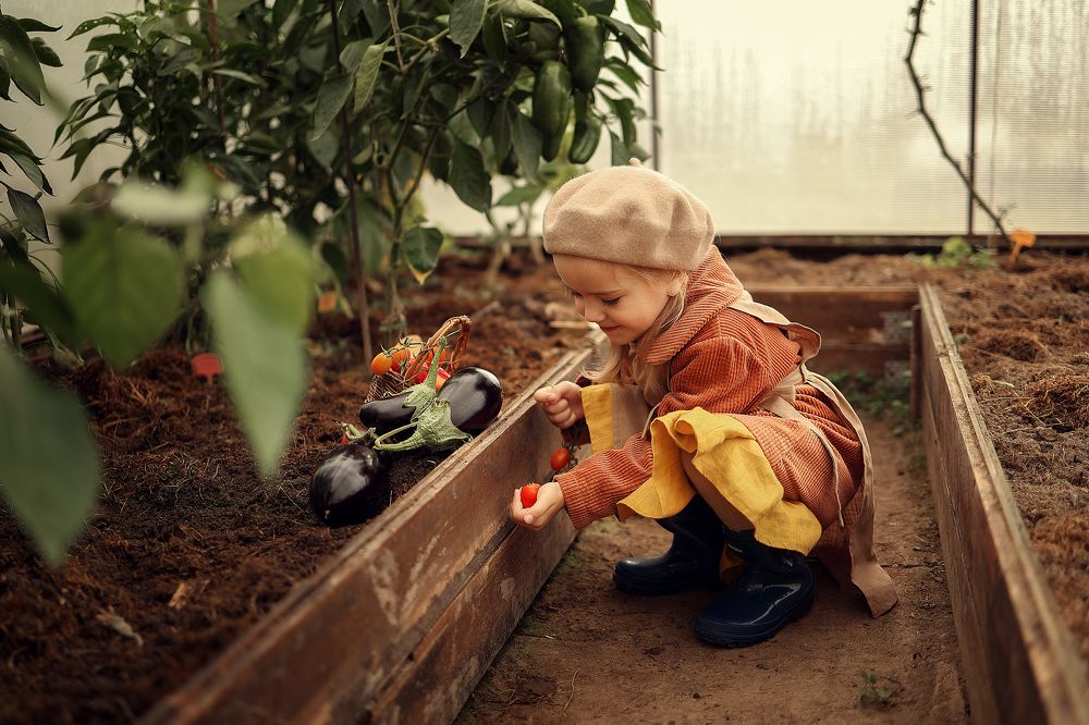 Фотография автора Татьяна Щелухина